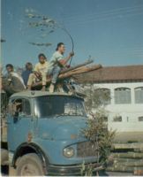 Chegada da comitiva com as madeiras