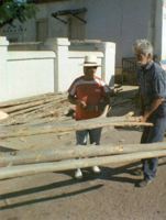 Comitiva chegando com as madeiras retirada do mato